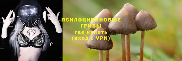 MESCALINE Михайловск