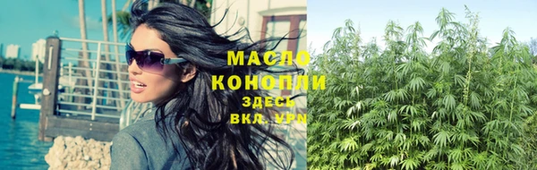 винт Михайлов